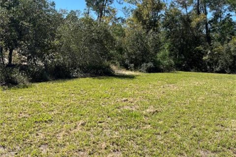 House in Ocala, Florida 4 bedrooms, 167.78 sq.m. № 1406852 - photo 14
