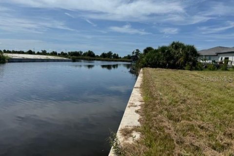 Land in Port Charlotte, Florida № 1724395 - photo 10