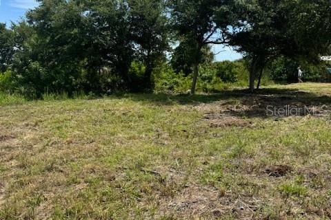 Land in Port Charlotte, Florida № 1724395 - photo 5