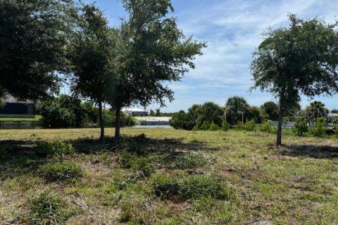 Land in Port Charlotte, Florida № 1724395 - photo 13