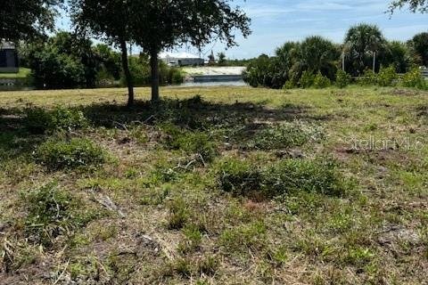 Land in Port Charlotte, Florida № 1724395 - photo 12