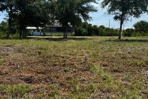 Land in Port Charlotte, Florida № 1724395 - photo 3