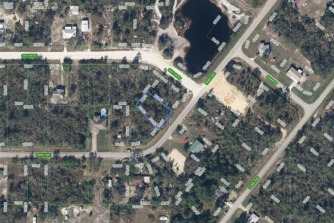 Land in Lake Placid, Florida № 2165380