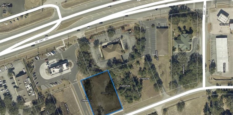 Commercial property in Tavares, Florida № 2259412