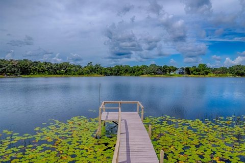 House in Groveland, Florida 2 bedrooms, 188.59 sq.m. № 1903574 - photo 5