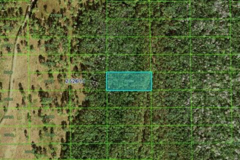 Terreno en Polk City, Florida № 2160743