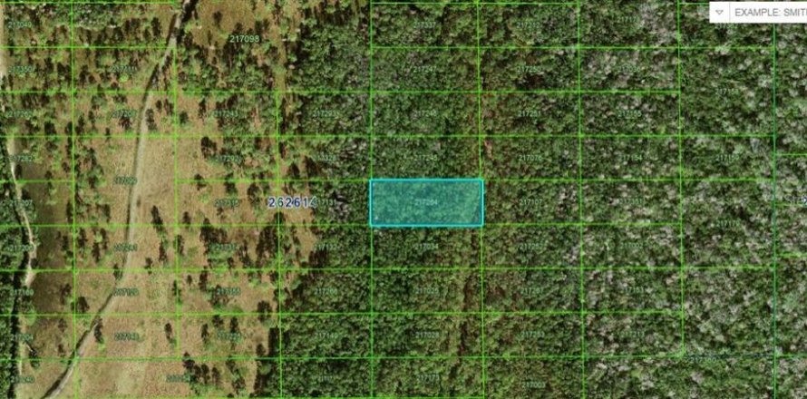 Terreno en Polk City, Florida № 2160743
