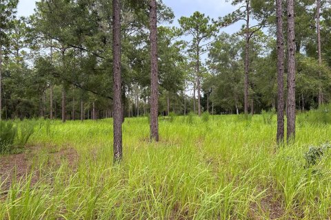 Terrain à vendre à Ocala, Floride № 1906885 - photo 2