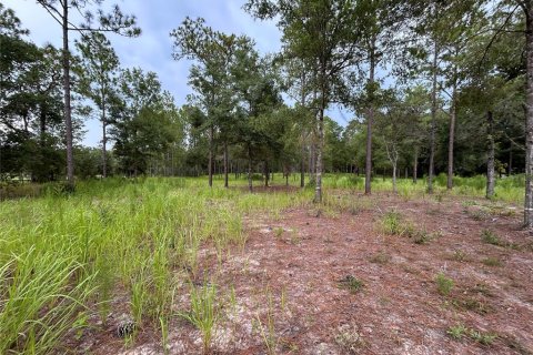 Terrain à vendre à Ocala, Floride № 1906885 - photo 4