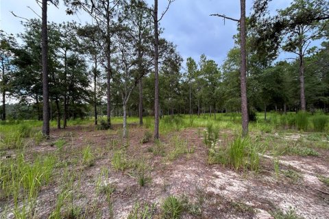 Terrain à vendre à Ocala, Floride № 1906885 - photo 10