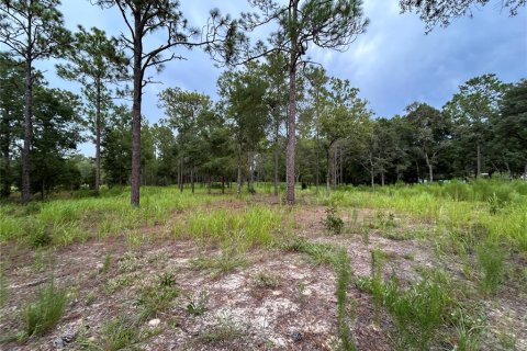 Terrain à vendre à Ocala, Floride № 1906885 - photo 5