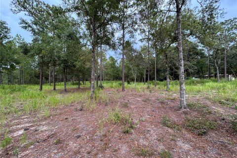 Terrain à vendre à Ocala, Floride № 1906885 - photo 3