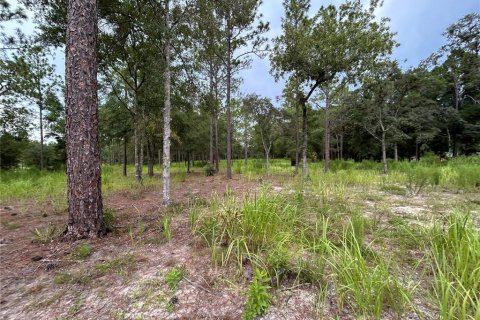 Terrain à vendre à Ocala, Floride № 1906885 - photo 7