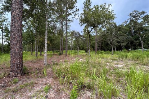 Terrain à vendre à Ocala, Floride № 1906885 - photo 6