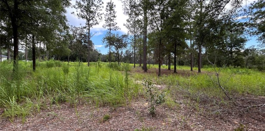 Terrain à Ocala, Floride № 1906885