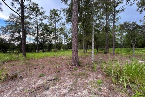 Terrain à vendre à Ocala, Floride № 1906885 - photo 8