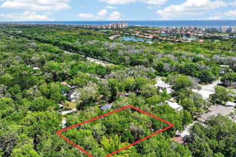 Casa en venta en Palm Coast, Florida, 3 dormitorios, 129.32 m2 № 2238762 - foto 13