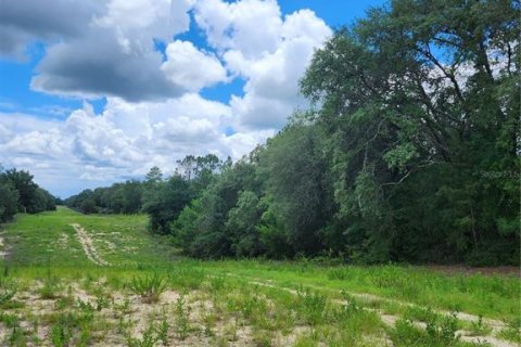 Land in Keystone Heights, Florida № 1808558 - photo 5