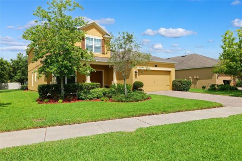 House in Lutz, Florida 5 bedrooms, 295.71 sq.m. № 1869780 - photo 4