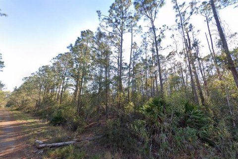 Land in Lake Placid, Florida № 2277504