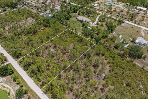 Commercial property in Punta Gorda, Florida № 2038704 - photo 9