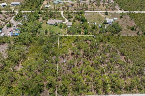 Commercial property in Punta Gorda, Florida № 2038704 - photo 5