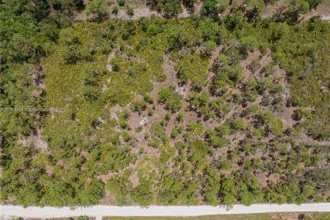 Commercial property in Punta Gorda, Florida № 2038704 - photo 16