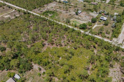 Commercial property in Punta Gorda, Florida № 2038704 - photo 12