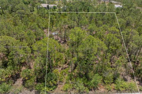 Commercial property in Punta Gorda, Florida № 2038704 - photo 3