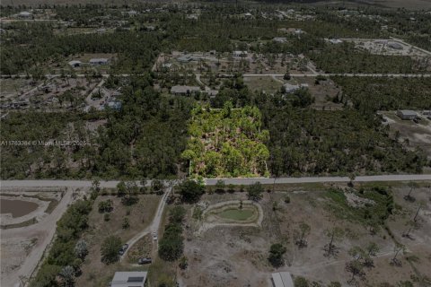 Commercial property in Punta Gorda, Florida № 2038704 - photo 19