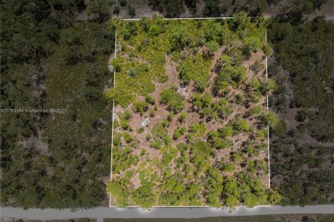 Commercial property in Punta Gorda, Florida № 2038704 - photo 17