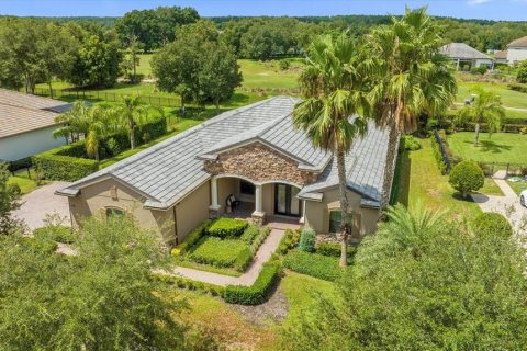 Villa ou maison à vendre à Sorrento, Floride: 4 chambres, 274.53 m2 № 1903493 - photo 1