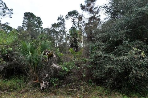 Land in North Port, Florida № 2161109