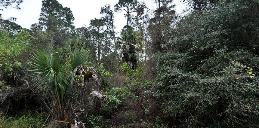 Land in North Port, Florida № 2161109
