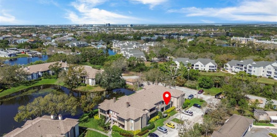 Condo in Saint Petersburg, Florida, 2 bedrooms  № 1885798