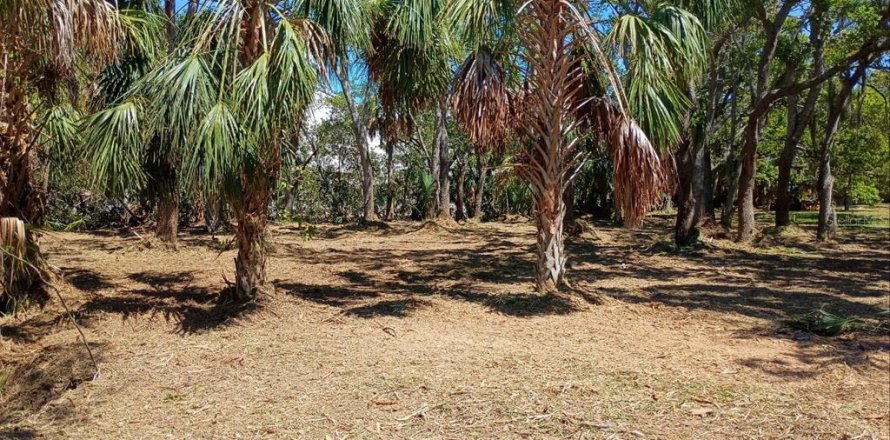 Terrain à Largo, Floride № 2234063