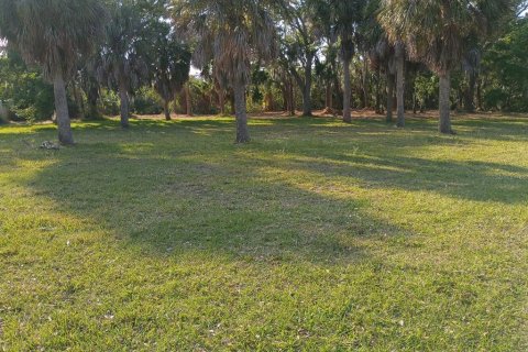 Terrain à vendre à Largo, Floride № 2234063 - photo 3
