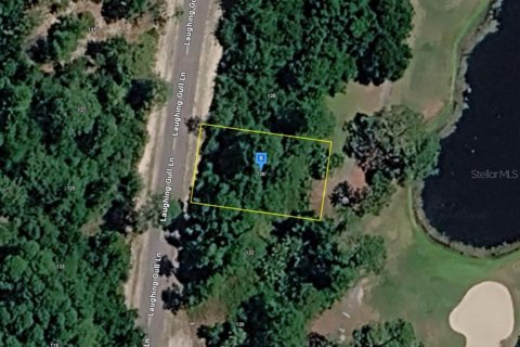 Land in Carrabelle, Florida № 2161328