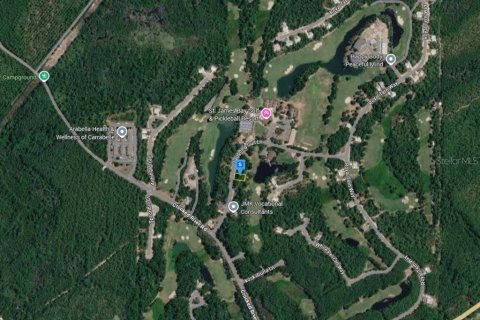 Land in Carrabelle, Florida № 2161328 - photo 3