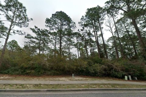 Land in Carrabelle, Florida № 2161328 - photo 2