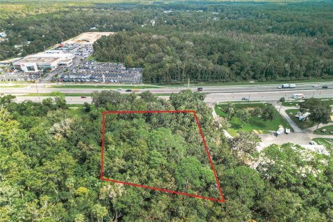 Land in Homosassa, Florida № 1576348 - photo 1