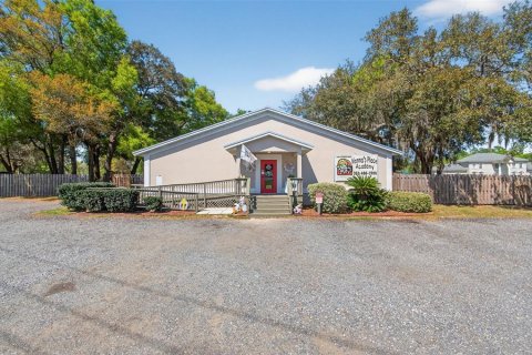 Commercial property in Bronson, Florida 520.25 sq.m. № 2166108