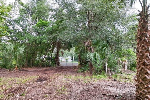 Terreno en venta en Apopka, Florida № 1908272 - foto 4