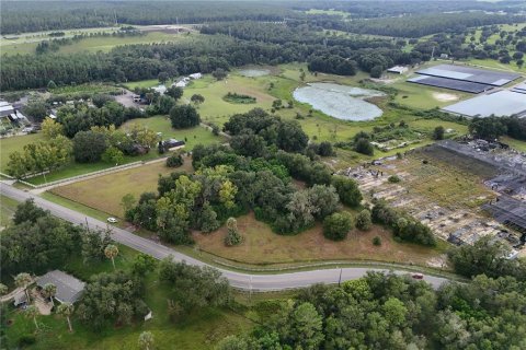 Terreno en venta en Apopka, Florida № 1908272 - foto 17