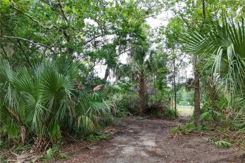 Terreno en venta en Apopka, Florida № 1908272 - foto 7