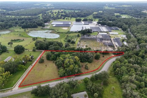 Terreno en venta en Apopka, Florida № 1908272 - foto 1