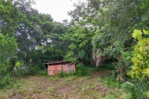 Terreno en venta en Apopka, Florida № 1908272 - foto 6