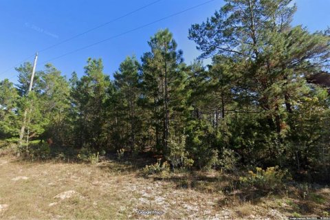 Land in Chipley, Florida № 2161243