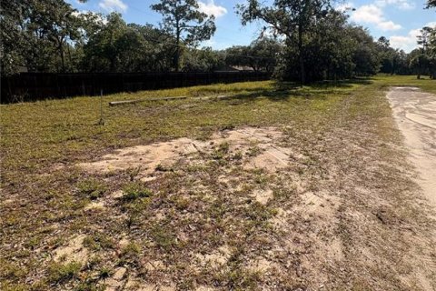 Terrain à vendre à Homosassa, Floride № 2229221 - photo 4