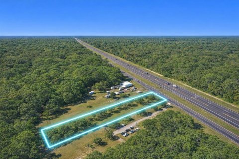 Terrain à vendre à Homosassa, Floride № 2229221 - photo 2